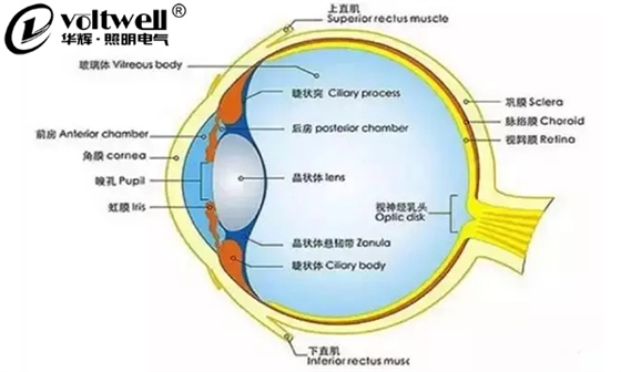 華輝照明最全的教室照明設(shè)計現(xiàn)狀及應用解析