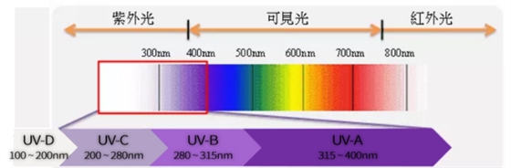 圖片2.png 圖片2.png
