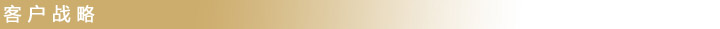 客戶戰(zhàn)略