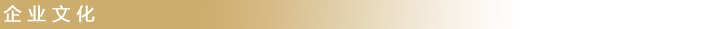 企業(yè)文化