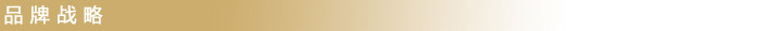 品牌戰(zhàn)略