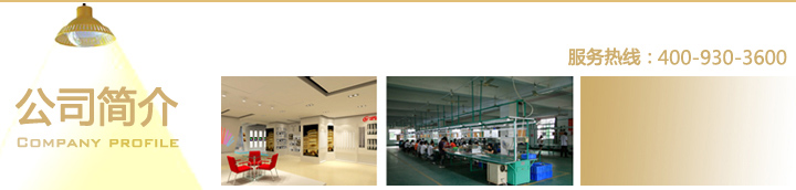 華輝簡介 華輝簡介